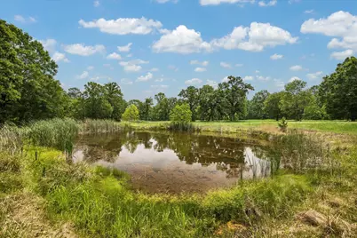 11051 Superior Lane, Magnolia, TX 77354 - Photo 15