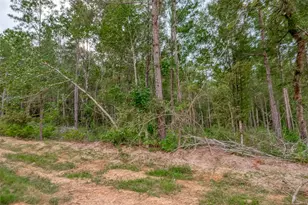 8100 High Meadow Ridge Ct, Montgomery, TX 77316 - Photo 11