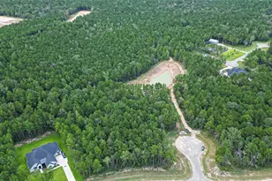 8100 High Meadow Ridge Ct, Montgomery, TX 77316 - Photo 21