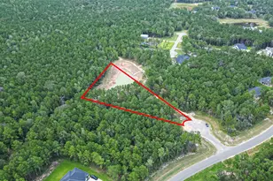 8100 High Meadow Ridge Ct, Montgomery, TX 77316 - Photo 19