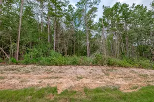 8100 High Meadow Ridge Ct, Montgomery, TX 77316 - Photo 3