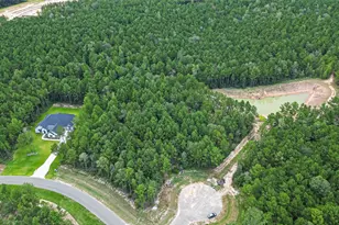 8100 High Meadow Ridge Ct, Montgomery, TX 77316 - Photo 25