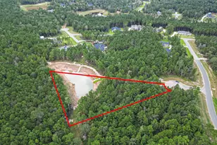 8100 High Meadow Ridge Ct, Montgomery, TX 77316 - Photo 17