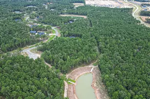 8100 High Meadow Ridge Ct, Montgomery, TX 77316 - Photo 23