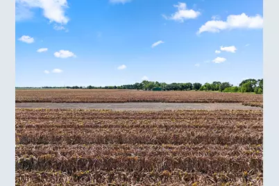 0 Oberrender Road, Needville, TX 77461 - Photo 19
