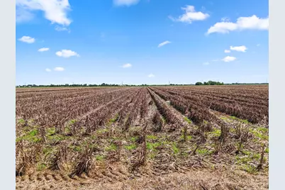 0 Oberrender Road, Needville, TX 77461 - Photo 25