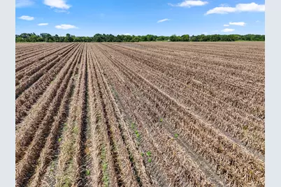 0 Oberrender Road, Needville, TX 77461 - Photo 23