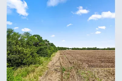 0 Oberrender Road, Needville, TX 77461 - Photo 15