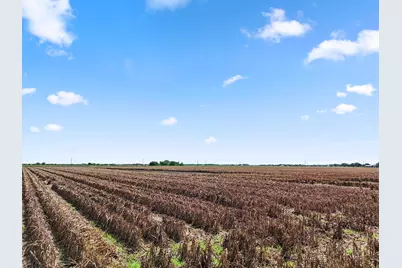 0 Oberrender Road, Needville, TX 77461 - Photo 17