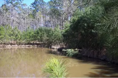 4214 Highland Lakes, Montgomery, TX 77316 - Photo 3