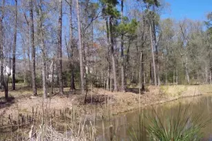 4214 Highland Lakes, Montgomery, TX 77316 - Photo 5