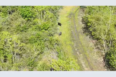 00068 Sh 249, Navasota, TX 77868 - Photo 7