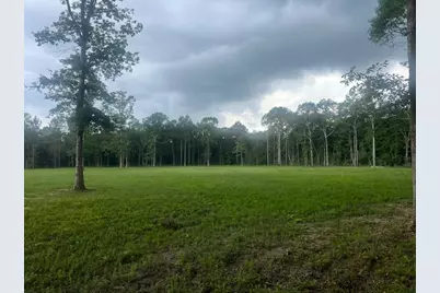 0 E Capps Rd, Livingston, TX 77351 - Photo 7