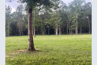 0 E Capps Rd, Livingston, TX 77351 - Photo 21