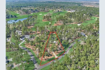 4443 Lily Bean Road, Montgomery, TX 77316 - Photo 3