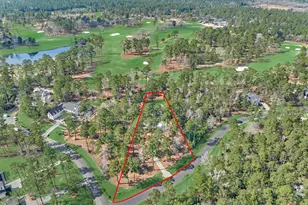 4443 Lily Bean Rd, Montgomery, TX 77316 - Photo 3