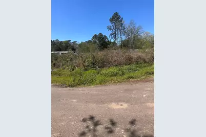 0 Dottie Lane, Shepherd, TX 77371 - Photo 5