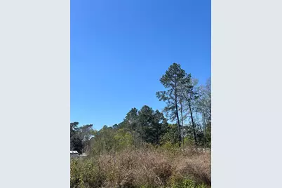 0 Dottie Lane, Shepherd, TX 77371 - Photo 9