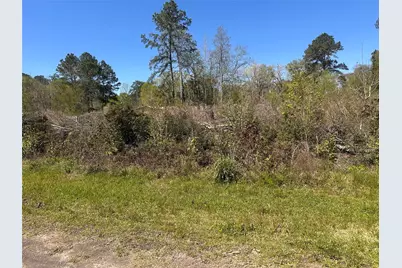 0 Dottie Lane, Shepherd, TX 77371 - Photo 1