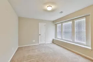 28807 Mayes Bluff Dr, Katy, TX 77494 - Photo 19