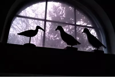 222 Quaker Drive, Friendswood, TX 77546 - Photo 15