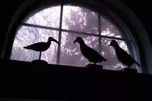 222 Quaker Dr, Friendswood, TX 77546 - Photo 15