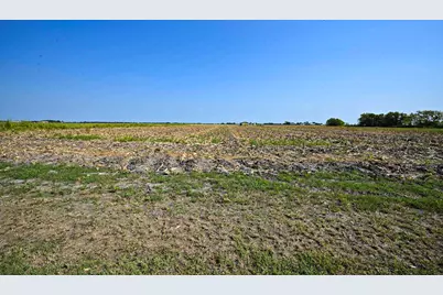 14920 Bj Dusek Road, Wallis, TX 77485 - Photo 19