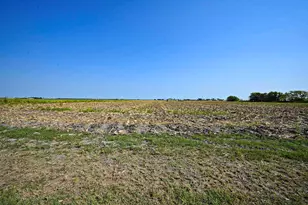 14920 Bj Dusek Rd, Wallis, TX 77485 - Photo 19