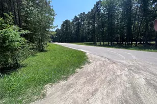 Tbd E Moonlight Circle, Onalaska, TX 77360 - Photo 1