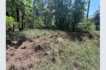 Tbd E Moonlight Circle, Onalaska, TX 77360 - Photo 21