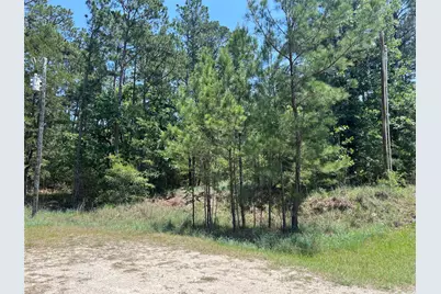 Tbd E Moonlight Circle, Onalaska, TX 77360 - Photo 7