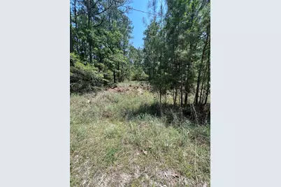 Tbd E Moonlight Circle, Onalaska, TX 77360 - Photo 19