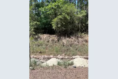 Tbd E Moonlight Circle, Onalaska, TX 77360 - Photo 15
