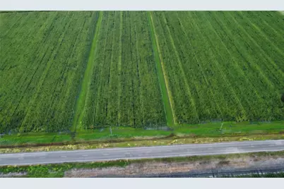 0 Fm 1164 Road, East Bernard, TX 77435 - Photo 3