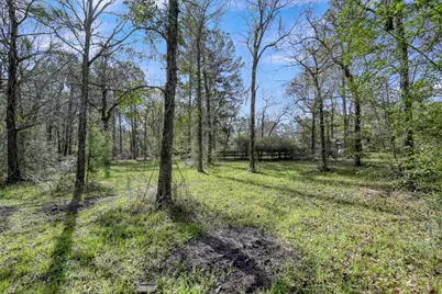 130 Cedar Court, Magnolia, TX 77355 - Photo 21