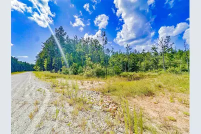 9010 Carter Ranch Road, Kountze, TX 77625 - Photo 5