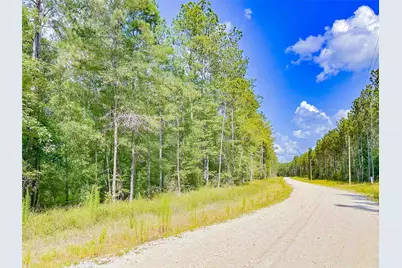 9010 Carter Ranch Road, Kountze, TX 77625 - Photo 1