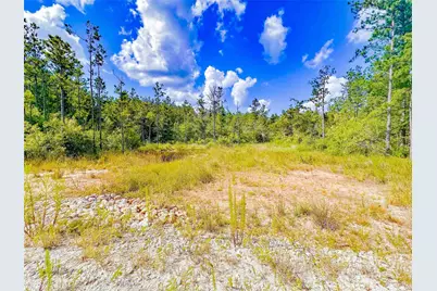 9010 Carter Ranch Road, Kountze, TX 77625 - Photo 7