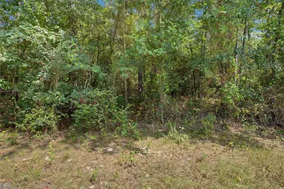 Tbd Bilnoski Road, Willis, TX 77378 - Photo 27