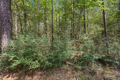 Tbd Bilnoski Road, Willis, TX 77378 - Photo 33