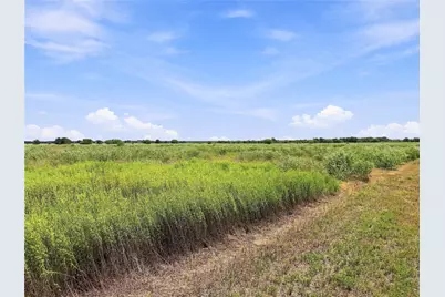 4688 Deadwood Lane, Bryan, TX 77808 - Photo 5