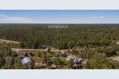 21215 Big Buck Drive, Cleveland, TX 77328 - Photo 49