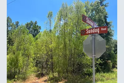 4-11-59 Sundog Road, Huntsville, TX 77340 - Photo 5