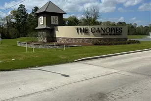 21130 Alder Oaks Dr, New Caney, TX 77357 - Photo 1