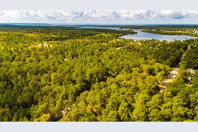 118 Finch Drive, Livingston, TX 77351 - Photo 39