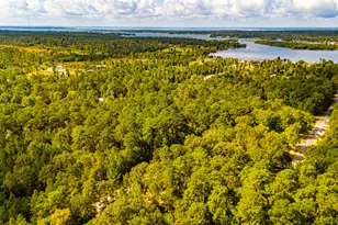 118 Finch Dr, Livingston, TX 77351 - Photo 39