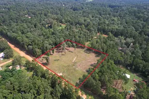 663 The Ole Barney Rd, Livingston, TX 77351 - Photo 1