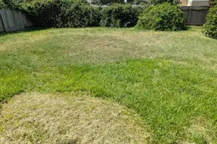 426 Dockside Terrace Ln, Katy, TX 77494 - Photo 35