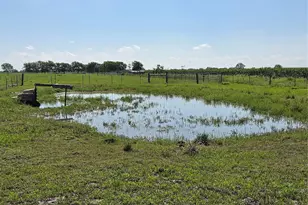928 Co Rd 316, Louise, TX 77455 - Photo 29