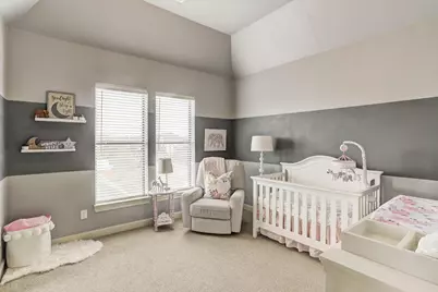 2520 Cohn Street, Houston, TX 77007 - Photo 19